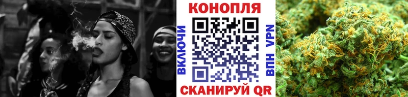 Виды наркоты Кашин Псилоцибиновые грибы Гашиш A-PVP Конопля Cocaine