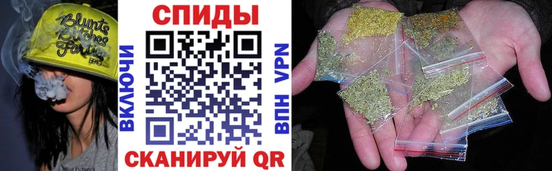 цены Кашин блэк спрут как войти Бутират вода